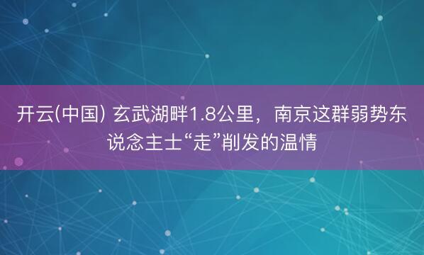 开云(中国) 玄武湖畔1.8公里,南京这群弱势东说念主士“走”削发的温情