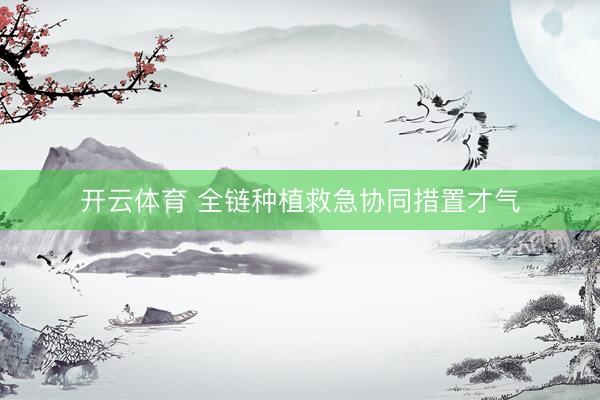 开云体育 全链种植救急协同措置才气