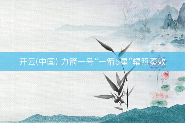 开云(中国) 力箭一号“一箭5星”辐照奏效