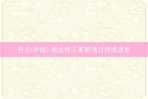 开云(中国) 湖北枝江革新活力持续迸发