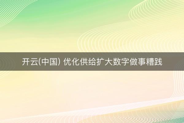 开云(中国) 优化供给扩大数字做事糟践