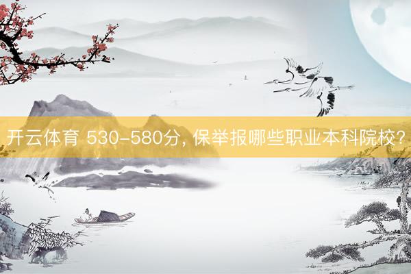 开云体育 530-580分， 保举报哪些职业本科院校?