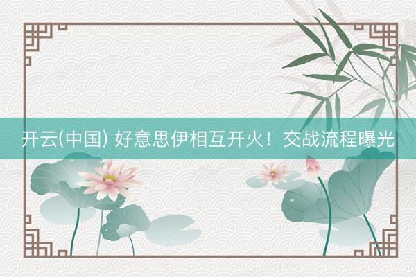 开云(中国) 好意思伊相互开火！交战流程曝光