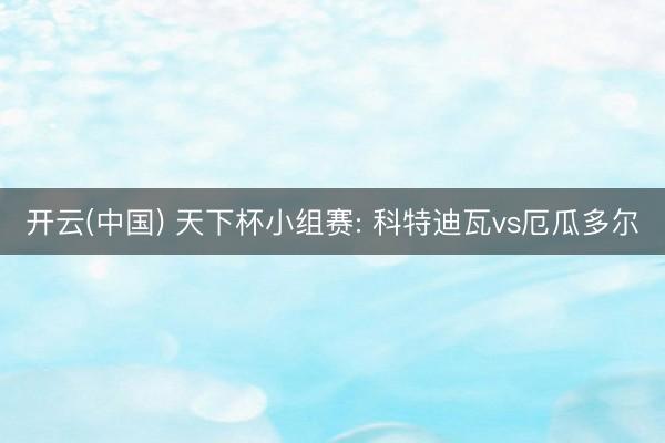 开云(中国) 天下杯小组赛: 科特迪瓦vs厄瓜多尔