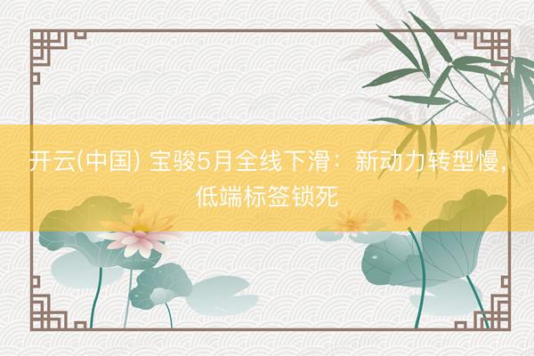 开云(中国) 宝骏5月全线下滑：新动力转型慢，低端标签锁死