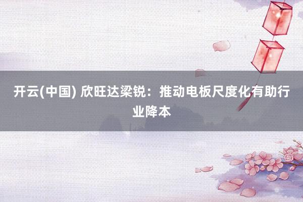 开云(中国) 欣旺达梁锐：推动电板尺度化有助行业降本